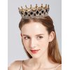 MR Metal Queen Crown for Women, Vintage Crowns and Tiaras Wedding Tiara Crystal Birthday Pageant Prom Headpieces Accessory Black
