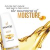 Pantene Pro-V Daily Moisture Renewal Hydrating Conditioner 20 fl oz (Product Size May Vary)