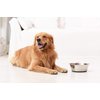 PEGGY11 Deep Stainless Steel Anti-Slip Dog Bowls, 2 Pack, 6 Cups