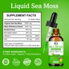 Sea Moss Liquid Drops - Irish Sea Moss 2000mg with Elderberry, Burdock Root, Bromelain, Vitamin C and Zinc - 98 Essential Minerals Seamoss Supplement for Immune, Joint, Digestion, Aging Support - 2oz