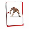The Best Card Company - 12 Boxed Christmas Cards with Envelopes - Adorable Holiday Animals, Fun Kids Notecard Set (1 Design, 12 Cards) - Zoo Yoga Giraffe B6547BXSG