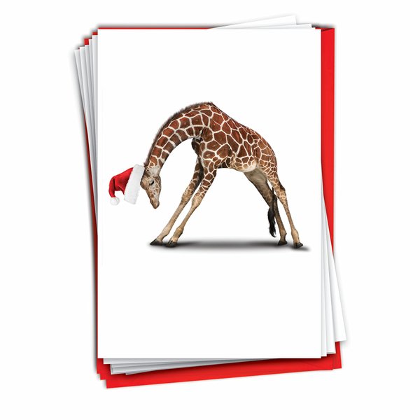 The Best Card Company - 12 Boxed Christmas Cards with Envelopes - Adorable Holiday Animals, Fun Kids Notecard Set (1 Design, 12 Cards) - Zoo Yoga Giraffe B6547BXSG