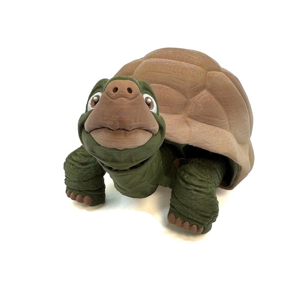 My Life Happens 3D Printed Tortoise – Articulated, Posable Desk Toy with Friendly Eyes, Helps with ADHD and Autism, Ideal for Kids and Adults (Medium)