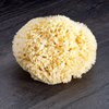 Neptune Natural Sea Wool Sponge - All Natural Honeycomb Renewable Sea Sponge, Jumbo, Approx. 7 Inches