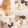 AiduduPet Cat Feather Toys Refills Cat Wand Replacement 6Pcs,Cat Teaser Wand Refills with Feather and Silvervine Sticks for Indoor Cat Chew Toy,Interactive Cat Wand Toy Refills