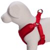 Blueberry Pet 4 Colors Better Basic Dog Harness Vest, Rouge Red, Chest Girth 17" - 21"