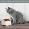CatGuru Cat Food Bowl, Ceramic Cat Bowls, No Spill Cat Bowl, Whisker Stress Free Cat Food Bowls, Non Skid Cat Bowls for Food and Water, Includes Silicone Non-Slip Mat (High-Low, White)