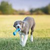 Puppy Kong Goodie Bone - Teething Toy and Treat Dispenser, Small, Assorted Colors