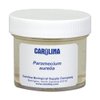 Carolina Paramecium, Living – Ciliate Culture With Macronucleus & Micronuclei | Ideal For Microscopy & Protozoan Studies | Includes Enough For 30 Students