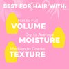 OGX Strength & Length + Golden Turmeric Anti-Frizz Air Dry Hair Cream with Coconut Milk to Nourish Hair, Leave-In Moisturizing Hair Treatment to Smooth Frizzy Hair, 6 oz