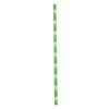 Restaurantware 7.8 Inch Paper Straws For Drinking 100 Sturdy Eco-Friendly Paper Straws - Premium Bamboo Stalk Design Green Paper DurablePaper Straws Vibrant Colors For Cold Drinks