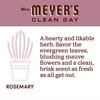 MRS. MEYER'S CLEAN DAY Liquid Dish Soap, Biodegradable Formula, Rosemary, 16 fl. oz