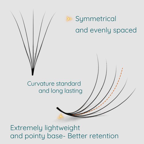 Obeyalash 1000 Promade Fans Lash Extensions 5D 0.07mm Loose Fan Eyelash Extensions D Curl 8-15mm Mixed Tray Promade Fans Lashes With Organizers Storage Promades Eyelash Fans (5D 0.07 D 8-15 mix)