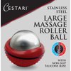 Cryosphere Massage Ball Hot Cold Roller Ball - Fast Muscle Pain Relief - Stainless Steel Balls for Heat or Ice Therapy - Feet Pain - Plantar Fasciitis- Back Ache - Foot Massager - 60 mm Ice Roller