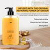 Ginger Plant Extract Anti Hair Loss Shampoo for Hair Regrowth, Thickening and Longer Hair - For Women & Men (400ML)
