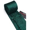 HISDERN Green Mens Tie Paisley Floral Ties for Men Solid Classic Formal Handkerchief Men's Neckties and Pocket Square Set Tuxedo for Wedding