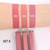AMY'S DIARY Matte Plum Liquid Lipstick 3Pcs Sets,24-hour Lipstick Dark Deep Maroon Purple Brown Plum Red Lip Stain 24 Smudge Waterproof for Women (A#)