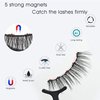 Alcastar Magnetic Eyelashes and Eyeliner Kit, Eyelashes Magnetic Lashes Natural,Magnetic Eyelashes with Applicator, Magnetic Eyelashes Natural Look,LongLasting, Waterproof,Reusable,