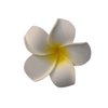 12PCS Diameter 2.36inch Hawaiian Hawaii Plumeria Foam Flower Alligator Hair Clips Hair Clasp Hair Holder Barrettes Hair Pins For Women Lady Girls (Yellow)