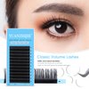 Eyelash Extensions 0.10 D Curl 8-15Mixed Tray Semi Permanent Lash Extensions Individual Classic Volume Lashes Soft Matte Dark Professional Eyelashes Extension (0.10-D-8-15Mix)