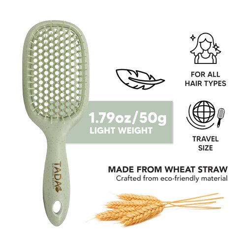 TADA Natural Beauty Hair Brush Detangler for Curly, Thick, Wavy, and Thin Hair - Ventilation Holes for Quick Drying and Styling, Detangler Brush for Women, Men, Kids (4 Colors) (Green)