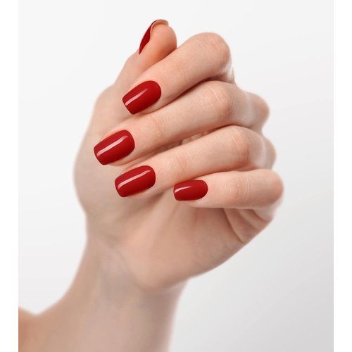 Dan's Nails Rubber Base Gel Coat Set | Soak off UV/LED Lamp For Professional Technician (Chilli Red)