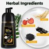 BELEZALIB Black Hair Dye Shampoo for Gray Hair Instant Hair Color Shampoo 3 in 1 for Women and Men, Herbal Ingredients 100% Grey Hair Coverage 500ML