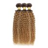 20 22 24 Inch T4/27 Bundles Human Hair Ombre Kinky Curly Bundles Honey Blonde Human Hair Bundles 2 Tone Brown and Honey Blonde Bundles Brazilian Grade 8A Virgin Human Hair Extensions