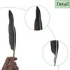 LWINGFLYER 25pcs 10"-12" Long Goose Feathers Quill for Pen Craft Festival Halloween Hats Costumes Decorations (Natural)