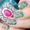 Whats Up Nails - B018 Fields of Flowers Stamping Plate for Nail Art Design