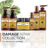 Saryna Key Hair Oil for Damage Repair - Pure African Shea Butter with Keratin & Vitamin E for Hair Treatment - Frizz Control & Split End Repair Hair Serum - Moisturizes, Shines, Softens (105ml/3.55oz)