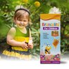 BRONCOLITO Honey Syrup for Children – Elder Flower, Licorice, Mullein and Eucalyptus – Natural Sweet Taste – 8 FL OZ (Dietary Supplement)