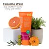 FemiClear Restoratives Soothing Feminine Wash - Feminine Care Wash for Itching & Irritated Skin, Feminine Hygiene Products, Essentials for Vaginal Health, PH Balance for Women (6FL oz)