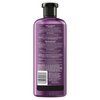 Herbal Essences bio:renew Passion Flower & Rice Milk Nourishing Conditioner, 13.5 fl oz
