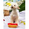 QWINEE Squeaky Dog Toys Food Design Puppy Chew Toys Dog Plush Toys for Small Medium Dog Bulk Dog Squeaky Toys Multicolor One Size