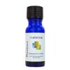 Wyndmere Essential Oils - Flirtation Essential Oil Blend - 100% Pure Therapeutic Grade - 10ml