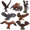 8 PCS Eagle Animal Figures Model Owl Woodpecker Figurines Family Party Supplies Cake Toppers Collection Desktop Decoration Development Set Cognitive Toy for 5 6 7 8 Years Boys Kid Toddlers
