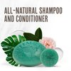 MSM Shampoo Bar + Hyaluronic Hair Conditioner Bar, Solid Bar Shampoo and Conditioner for Hair Growth, Non-Soap, For All Hair Types, Shrub, Set of 2