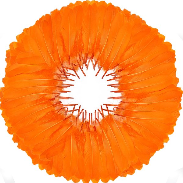 FeelfunFeather 120pcs Orange Goose Feathers 6-8 Inch 15-20cm Decorative Natural Goose Nagoire Feather Bulk for DIY Crafts Cosplay Wedding Party Christmas Halloween Home Decoration