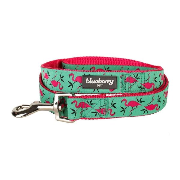 Blueberry Pet Essentials 2 Patterns Durable Pink Flamingo on Light Emerald Dog Leash 5 ft x 5/8", Small, Basic Nylon Leashes for Dogs