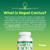 Vitapia Nopal Cactus 1000mg(20000mg) - Prickly Pear Cactus 20:1 Extract Powder Supplement - Vegan Friendly, Non GMO and Gluten Free - 120 Capsules