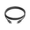 Tripp Lite USB 2.0 USB C Hi-Speed Cable w/ 5A Rating 20V M/M USB Type C USB-C Charging 6ft 6' (U040-006-C-5A),Black