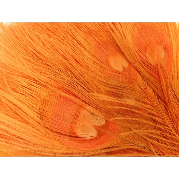 5 Pieces – Orange Bleached & Dyed Peacock Tail Eye Feathers 10-12” Long Halloween Craft Supply | Moonlight Feather