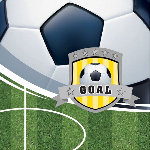 Team Sports Soccer 3-Ply Beverage Napkins 16 Per Pack