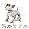 FUUY Robot Dog for Kids Robot Dog Remote Control Dog Toy Interactive Robot Pet Robotics Toys Intelligent Robo Dog Programmable Sing & Dance Design Birthday Gifts Kids Age 3 5 4-7 Year, Gold