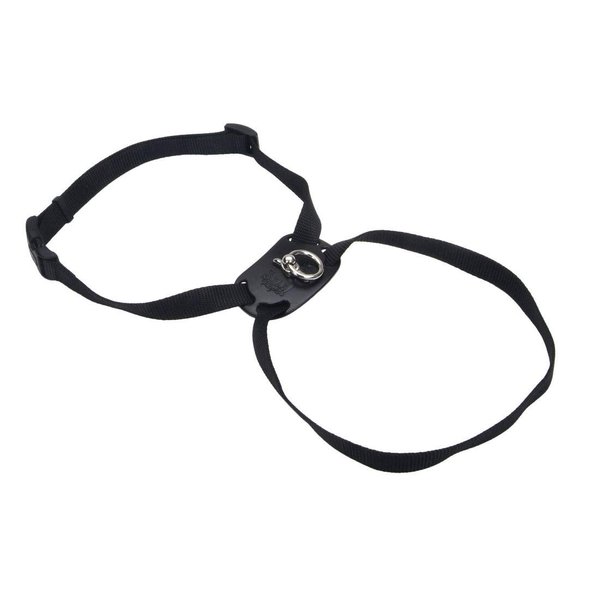 Coastal Pet Size Right Adjustable Dog Harness - Small & Big Dog Harness - Comfortable Dog Training Harness - Includes Snap-Lock Buckle - Quality Dog Supplies - Black, 3/4" x 24-30"