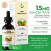 Liquid Iron Supplement for Women, Men and Kids - 15 mg Per ML Berry Flavored - High Potency - Easy to Mix for Immediate Absorption - Increase Energy and Blood Levels Without Nausea or Constipation