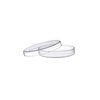 EISCO Petri Dish, 3.93" (100mm) - Beaded Edges Easy to Sterilize for Repeated Use Borosilicate Glass- Eisco Labs