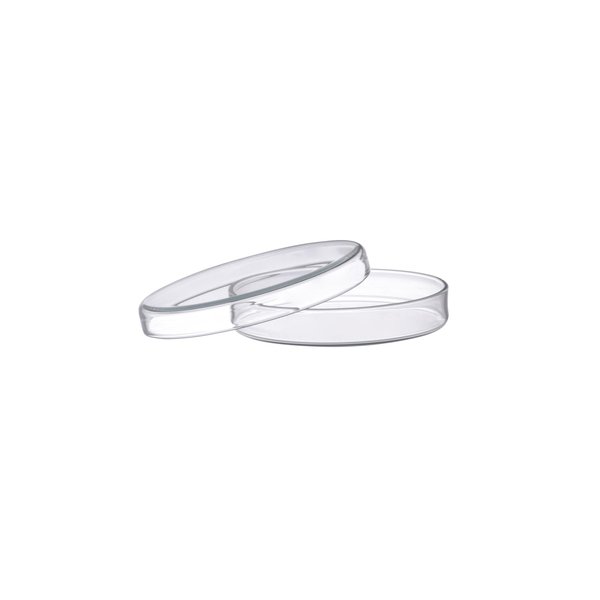 EISCO Petri Dish, 3.93" (100mm) - Beaded Edges Easy to Sterilize for Repeated Use Borosilicate Glass- Eisco Labs