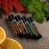 Lip Balm Set - 4 Scents - Maple, Vanilla Coffee, Peppermint, & Orange Brandy - No Shine Matte Finish - Featuring Coconut Oil, Avocado Oil, Bees Wax, & Shea Butter by Rocky Mountain Barber Company